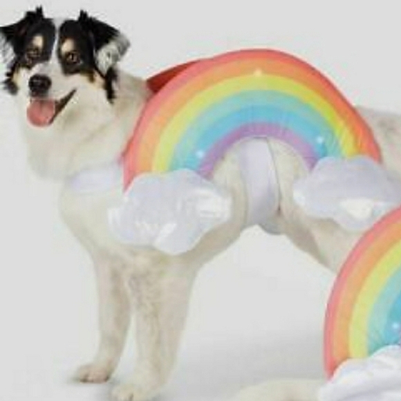 Hyde & EEK! Pastel Rainbow LED Light Up Dog Costume Size M - Picture 1 of 11